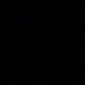 Meet your Posher, Rustin